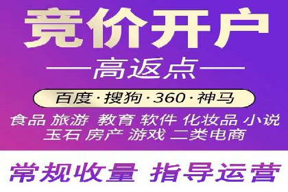 优化SEM广告投放：成功案例分享