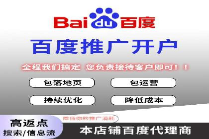 百度竞价广告成功案例：如何实现ROI最大化